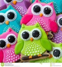 owl-cookies-array-colorful-35678823
