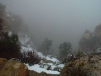 A foggy Grand Canyon AZ
