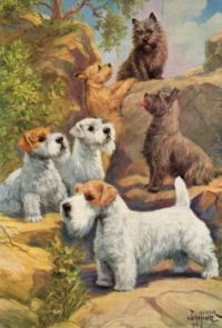vintage dog illustration
