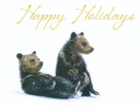 Playful Bear Cubs Christmas Card