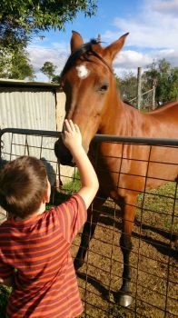 Making friends