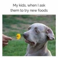 Maybe later Mom! 😁