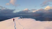 On the edge