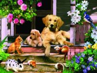 Summer on the Porch