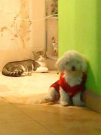 DANILO Y KITTY