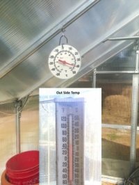 Greenhouse