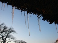 Sunlight shines on the icicles