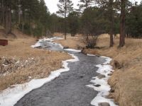 In The Black Hills, South Dakota