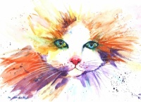 Fluffy Cat original watercolour painting