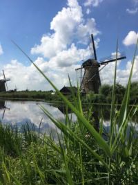 Kinderdijk windmills