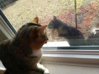 eye to eye