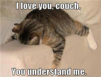 I love you, couch