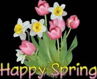 THEME: happy spring