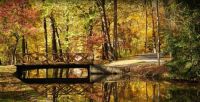 Fall-in-Delaware