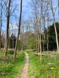 North Downs Way