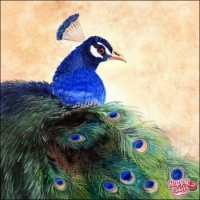 Mr. Peacock