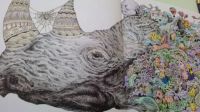 coloring book-nosorožec