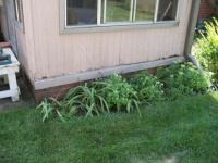 Livonia, MI Back Yard