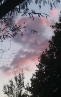 Pink in the sky