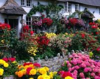 --english-cottage-gardens-
