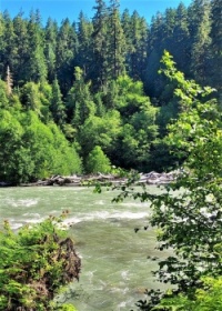 Sauk River,Washington-USA