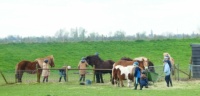Little girls 'working' at the pony stables