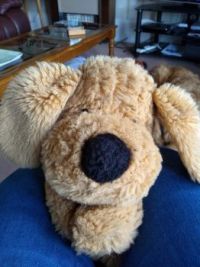 quiet dog