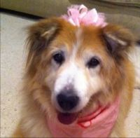 Our Special Girl