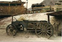 BuckBoard Wagon