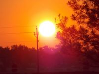 DSCN0232