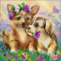 Cute puppies 2