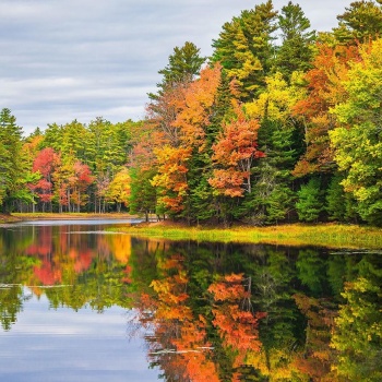 Solve Autumn colors jigsaw puzzle online with 169 pieces