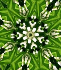 Kaleidoskop