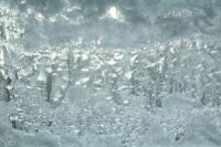 Winter Ice