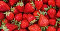 Strawberries, yum!