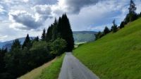 Stryn