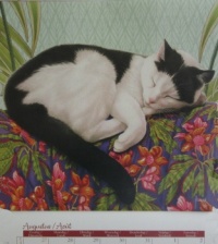 Kitty Calendar August 2025