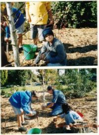 My grandchildren and Len, planting bluebells