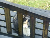Look Who's On The Bench