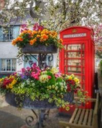 Telephone Booth, Devon, England