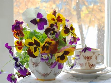 tea and pansies at the window