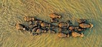 PHOTOGRAPHER OF THE YEAR PORTFOLIO NO. 1 - 1 OF 3