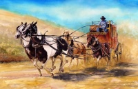 Stagcoach by Mark McFerron