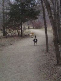 hiking the trail