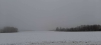 Winter landscape