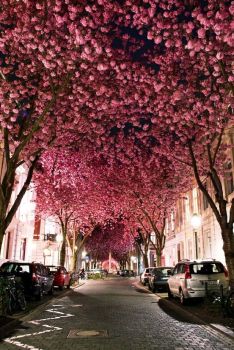 pink sidewalk