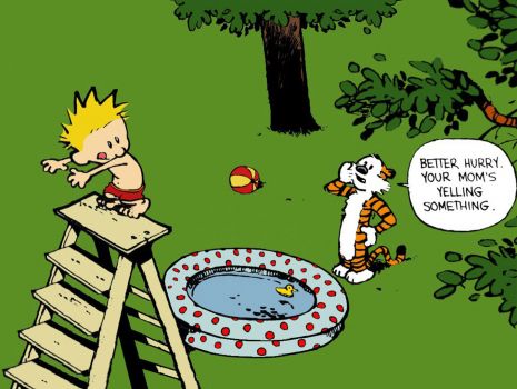 Calvin and Hobbes