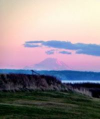 Mt. Rainier