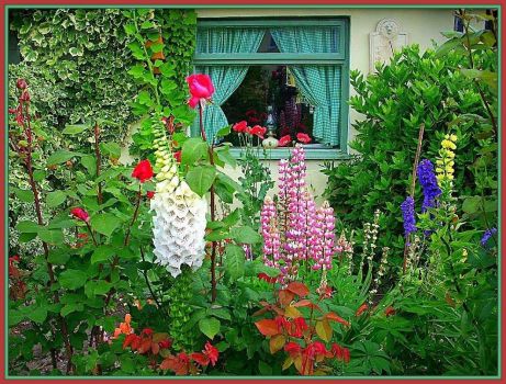 Cheerful Cottage Garden