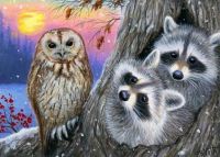 Raccoons and owl.